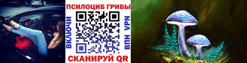 Псилоцибиновые грибы Magic Shrooms мориарти официальный сайт Апрелевка купить наркотик мега вход